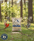 Alligator Safflower Seed Wild Bird Food 10 lb Natural Squirrel-Resistant Blend