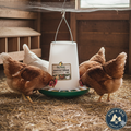 Harris Farms Free Range Hanging Poultry Feeder 7 lbs. Capacity