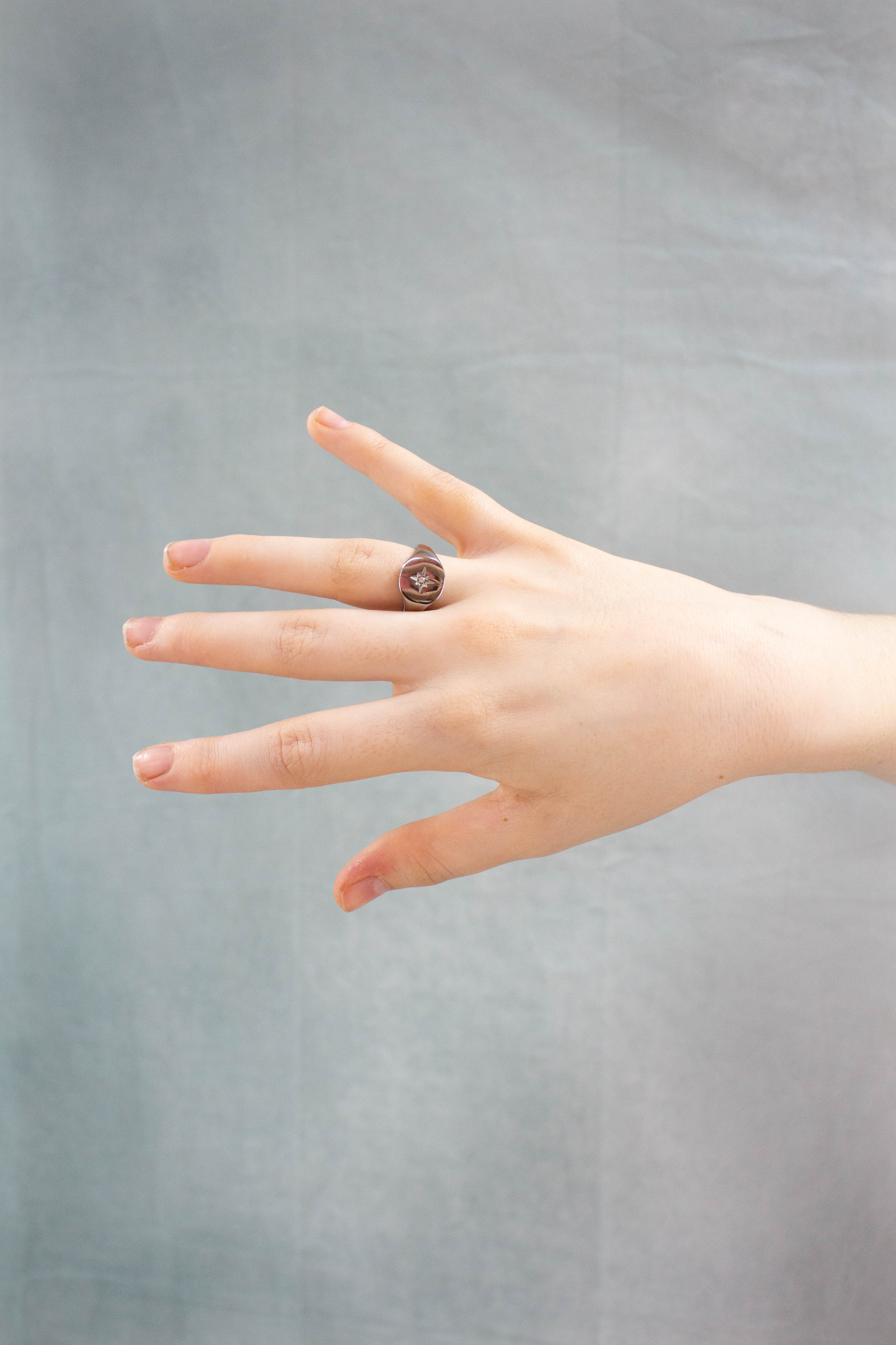 Shimmering Star Titanium Rings