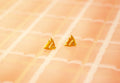 Tiny Fish Stud Earrings