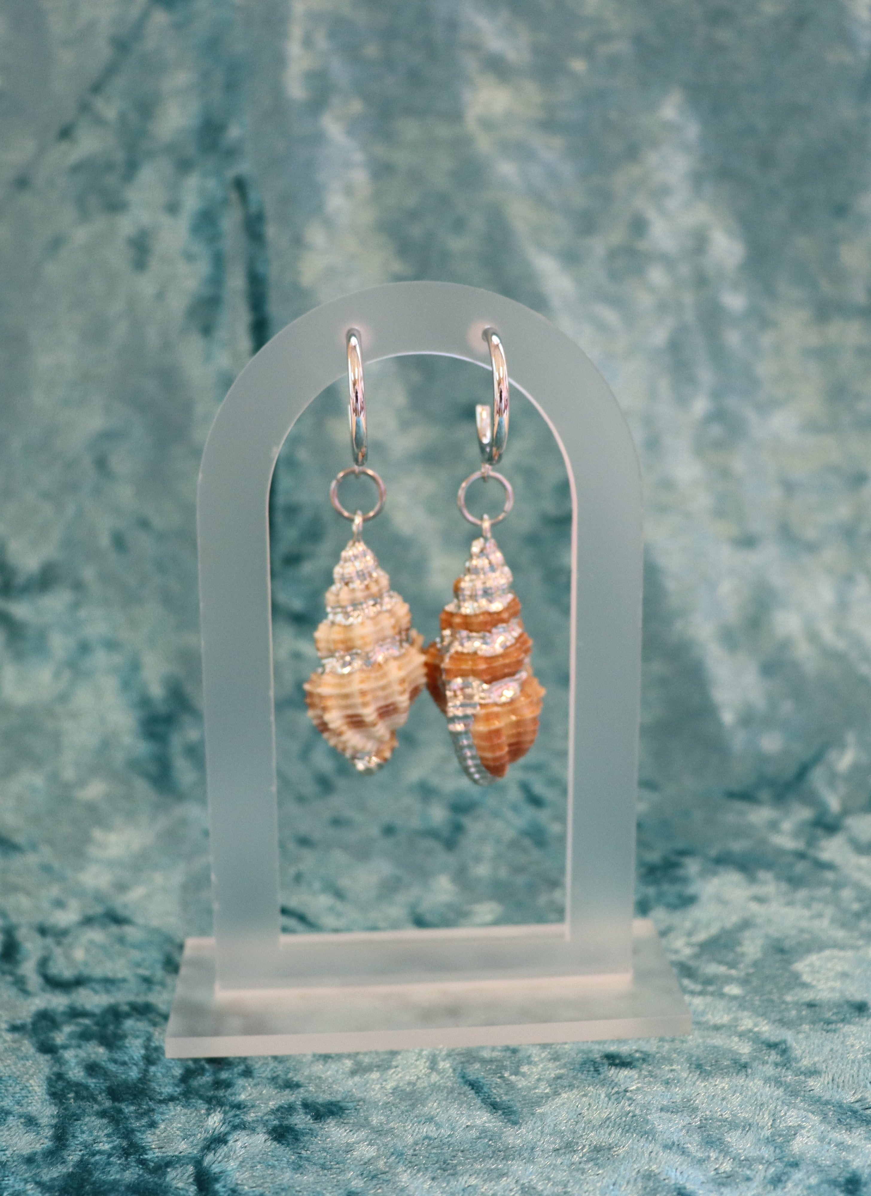 Cinerea Shell Earrings