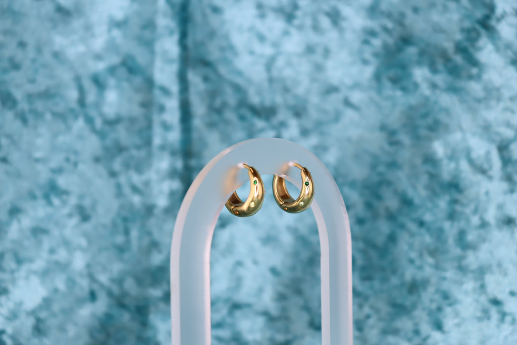 Feeling Bejewled-Colorful Titanium Hoops
