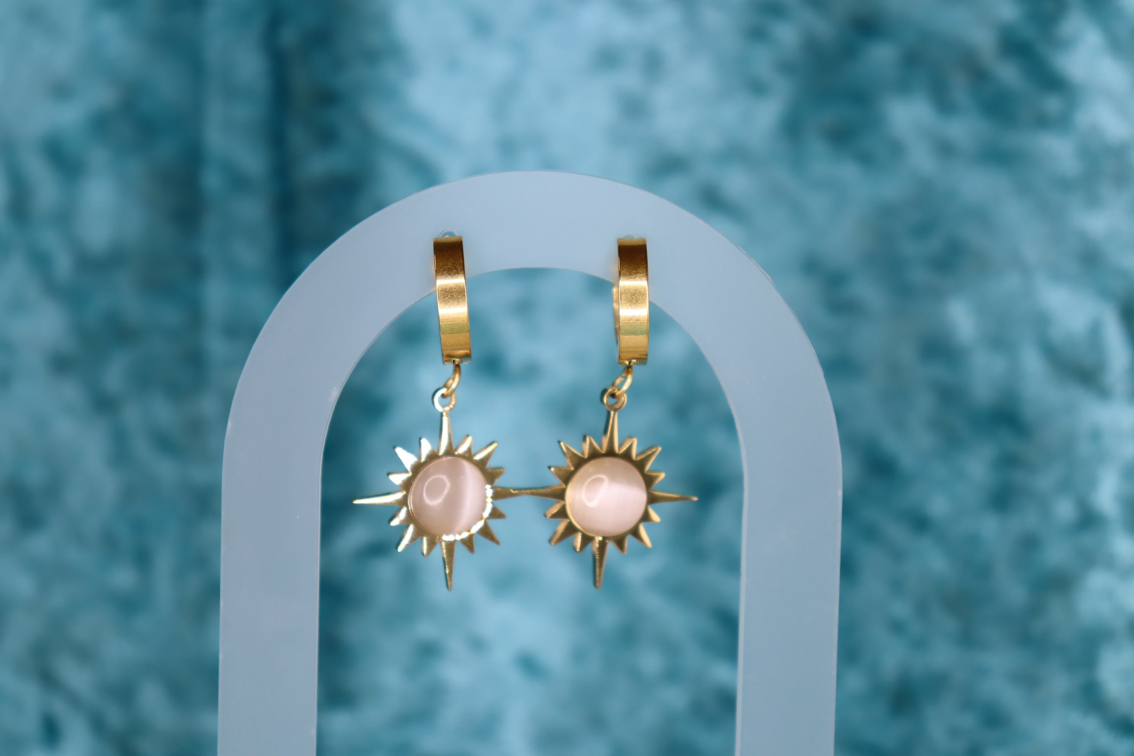 Shining Just for You-Titanium Earrings