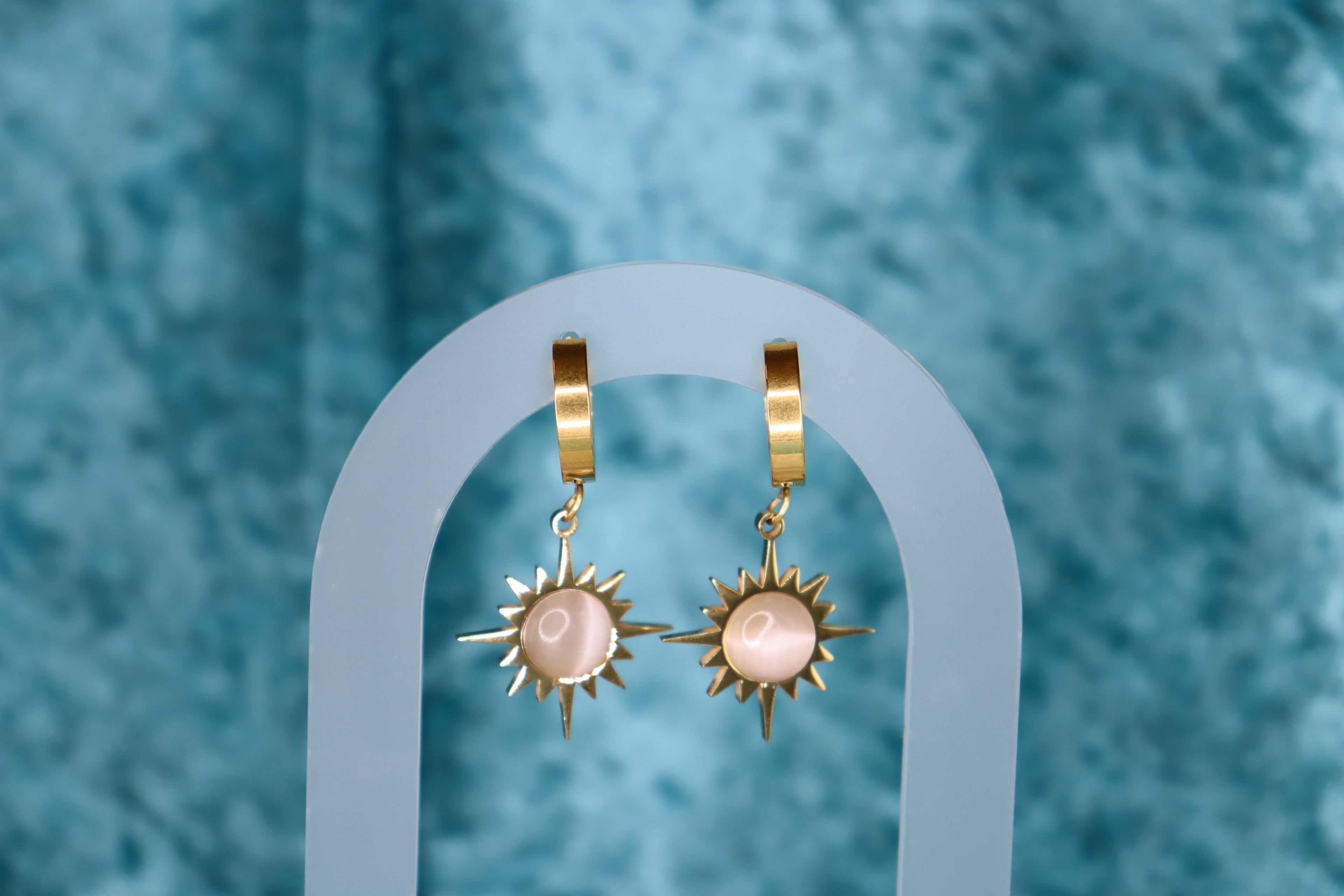 Shining Just for You-Titanium Earrings
