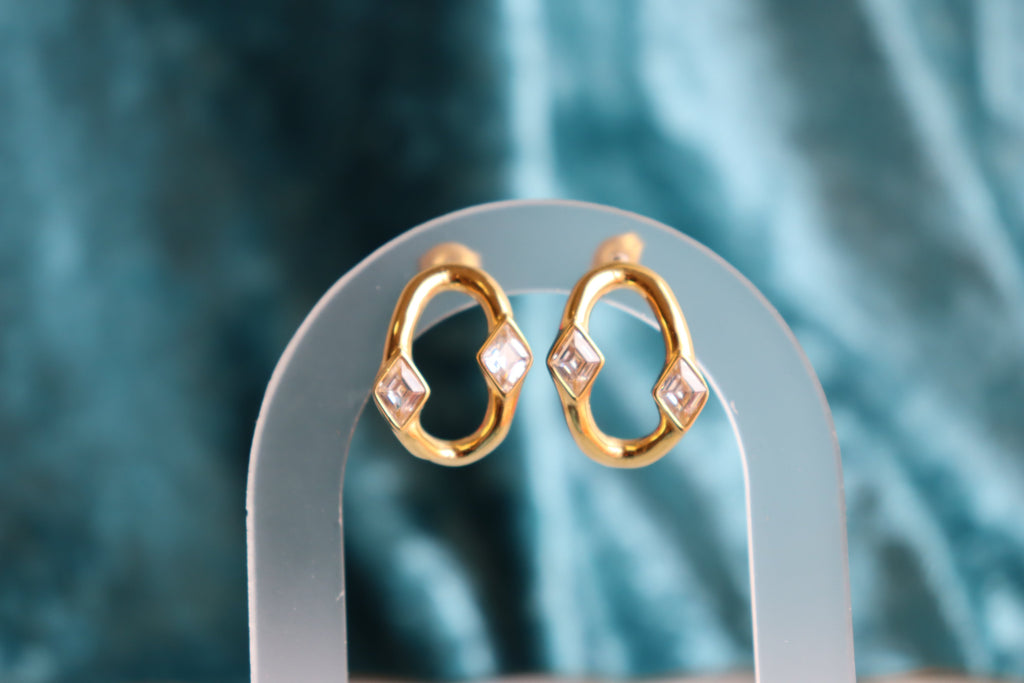 Extra Special-Titanium Earrings