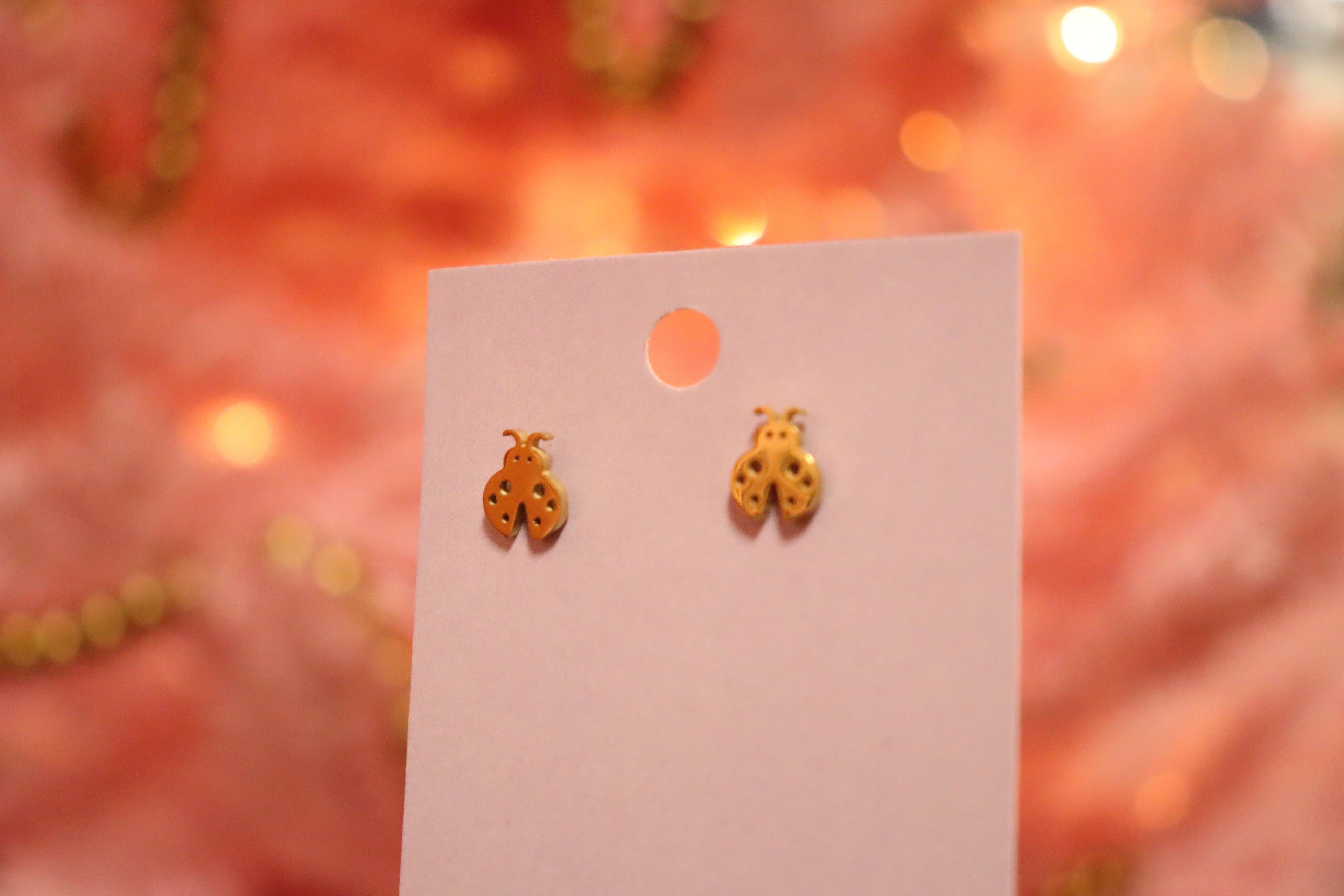 Tiny Ladybug
