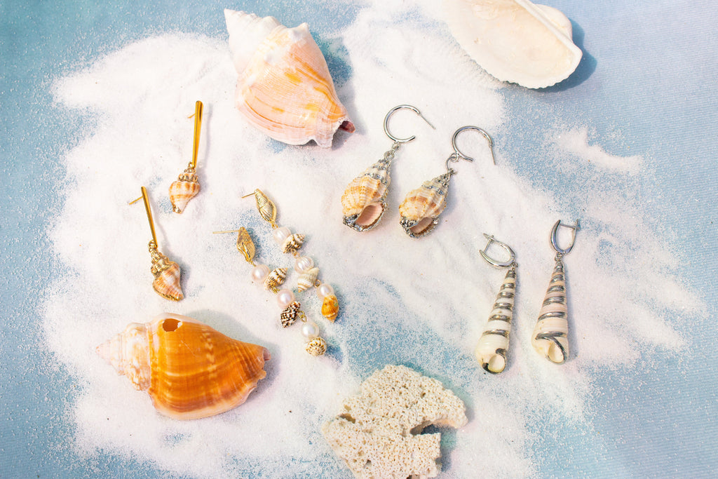 Turritella Shell Earrings