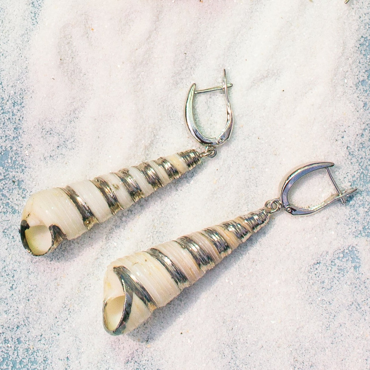 Turritella Shell Earrings