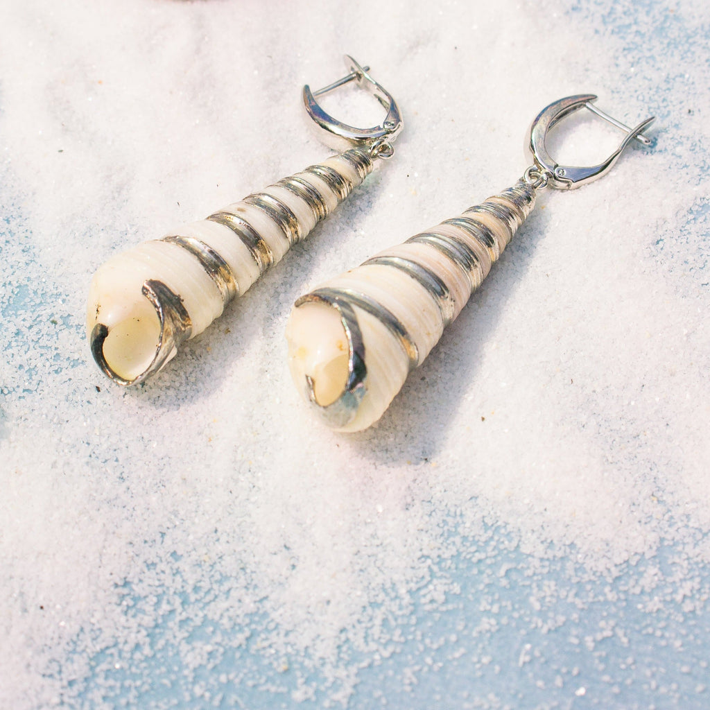 Turritella Shell Earrings