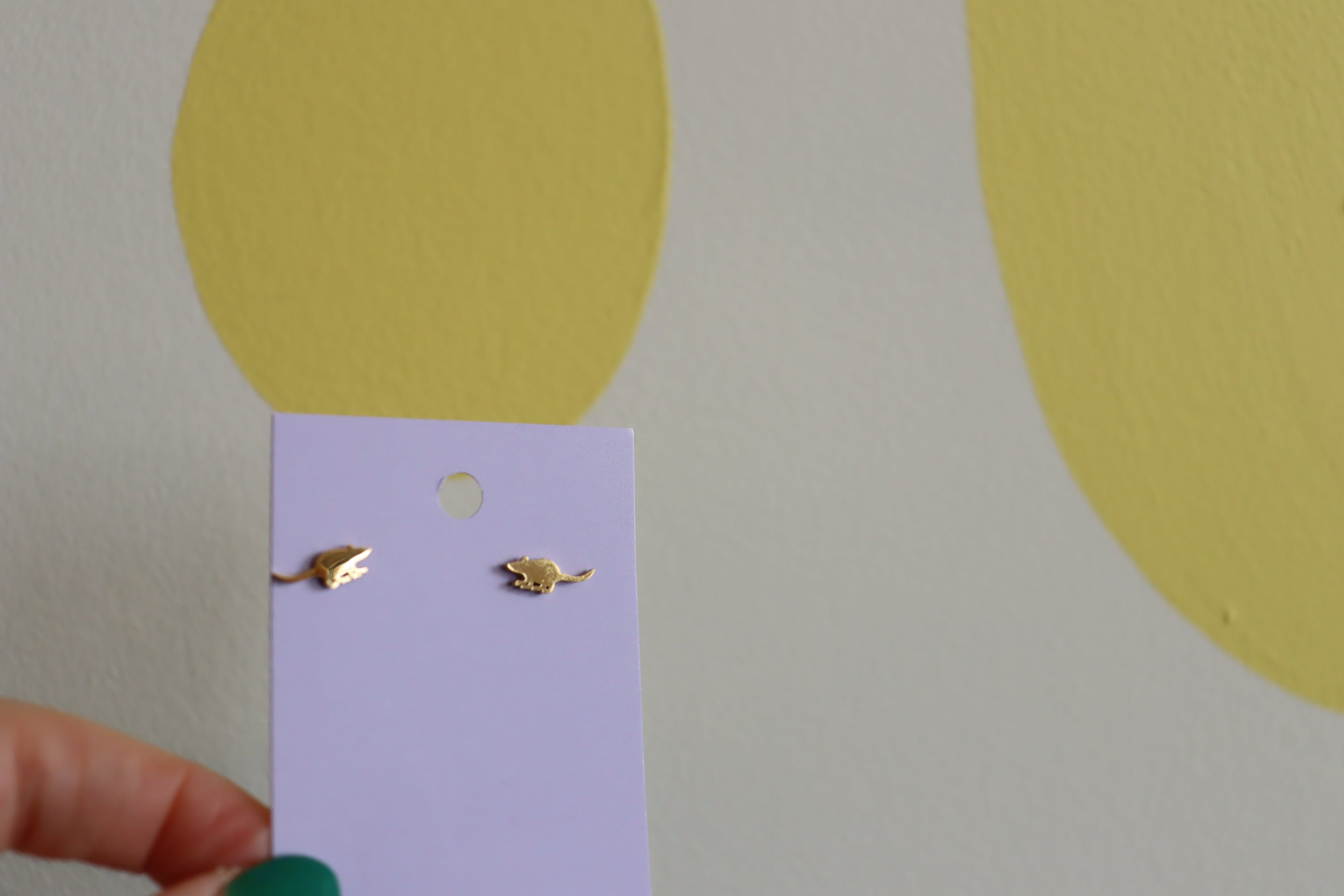 Tiny Mouse/Rat