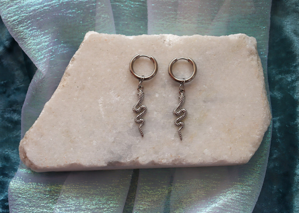 “Filled my Cell With Snakes” Titanium Charm Earrings