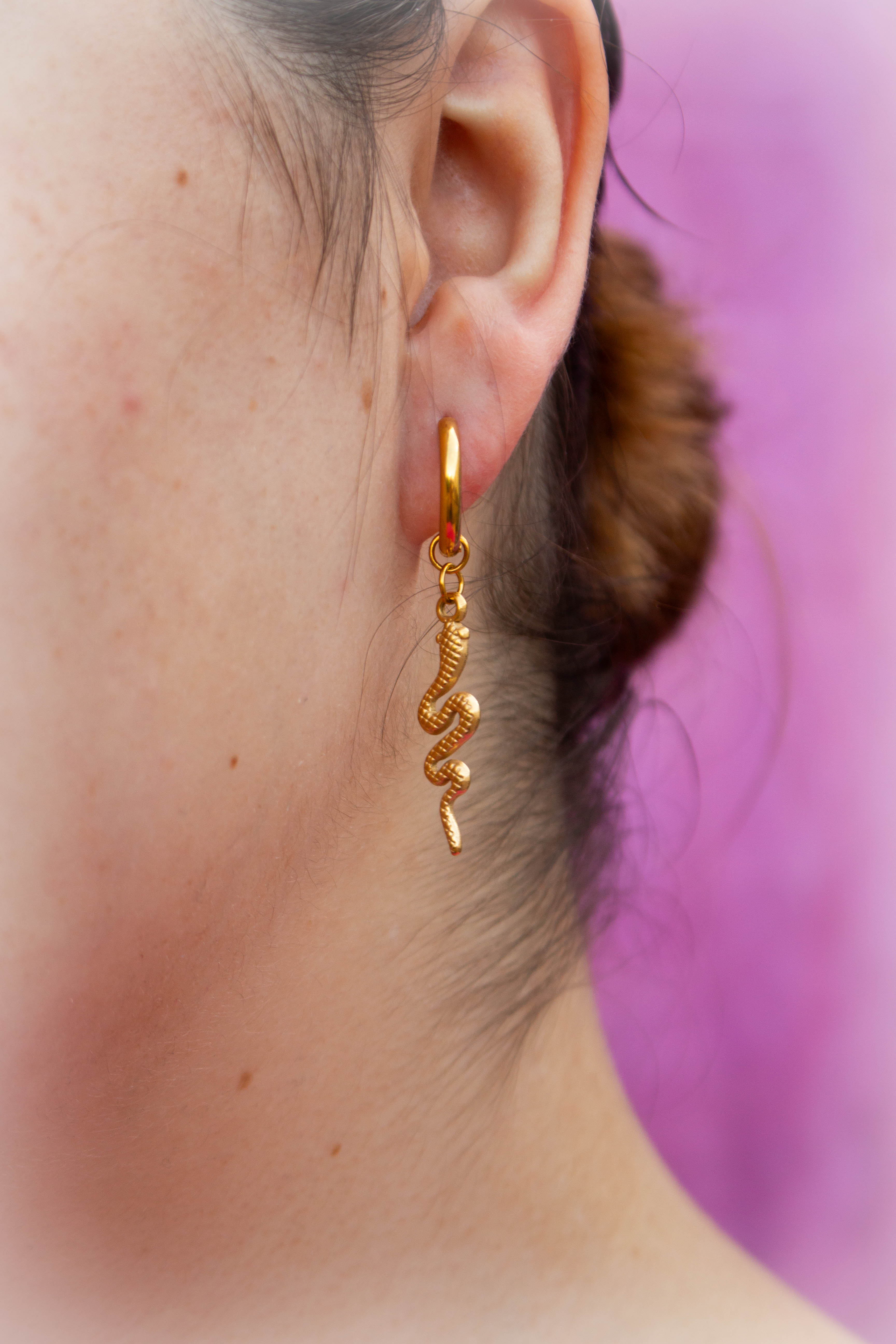“Filled my Cell With Snakes” Titanium Charm Earrings