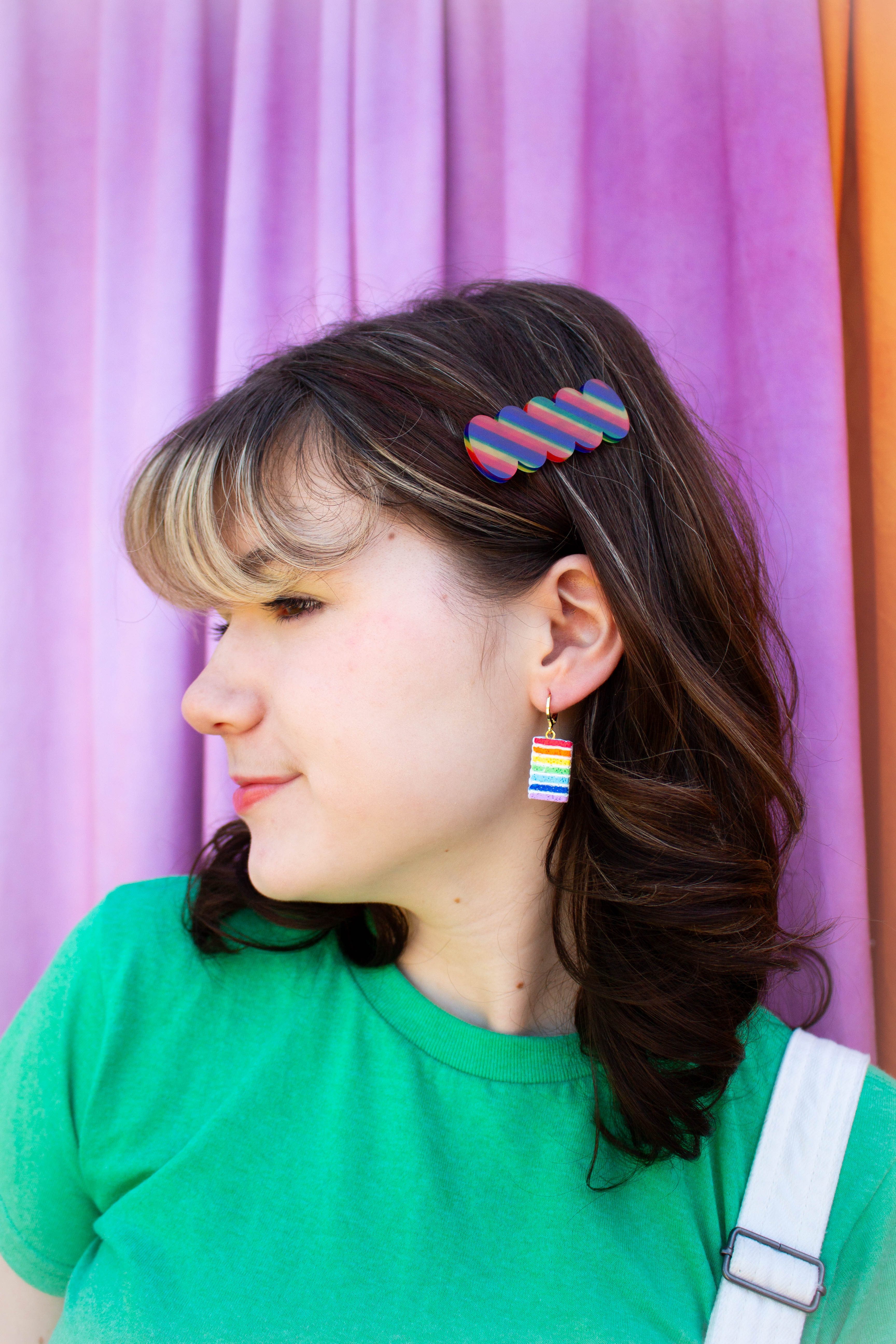 Rainbow Striped Barrettes