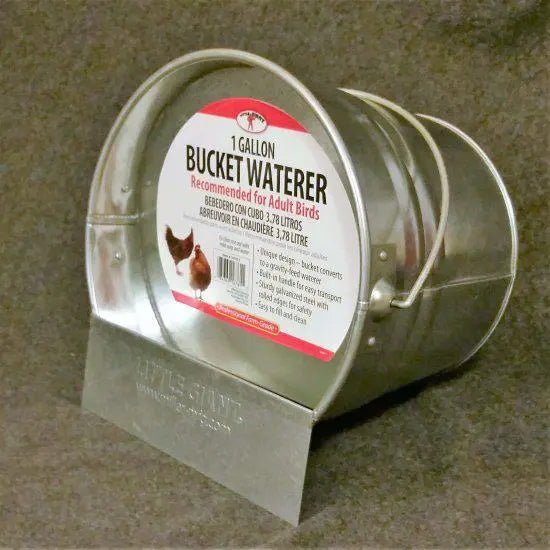 Little Giant 2-in-1 Poultry Bucket Waterer 1 Gallon Galvanized Gravity Feed