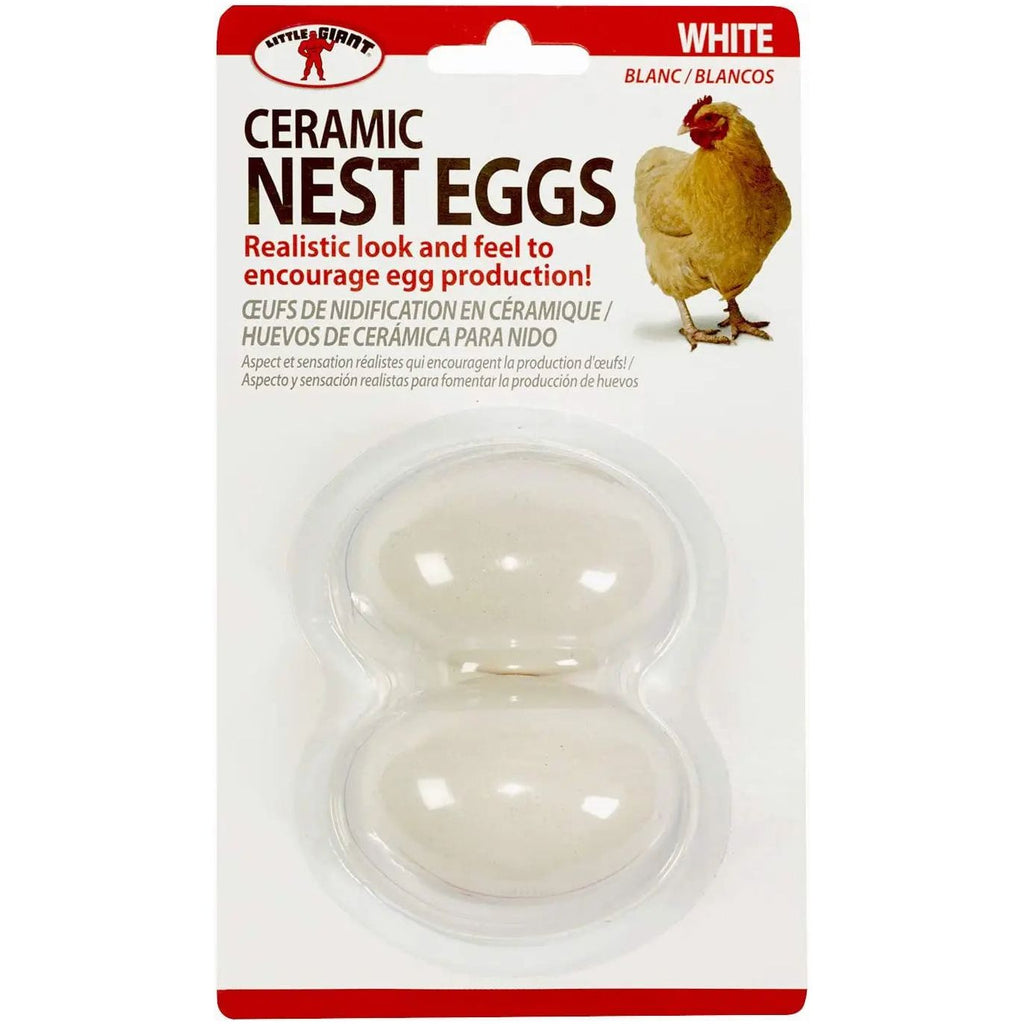 Little Giant Ceramic Nest Eggs 2 Pack 4 Count Fake Chicken Coop Eggs, White