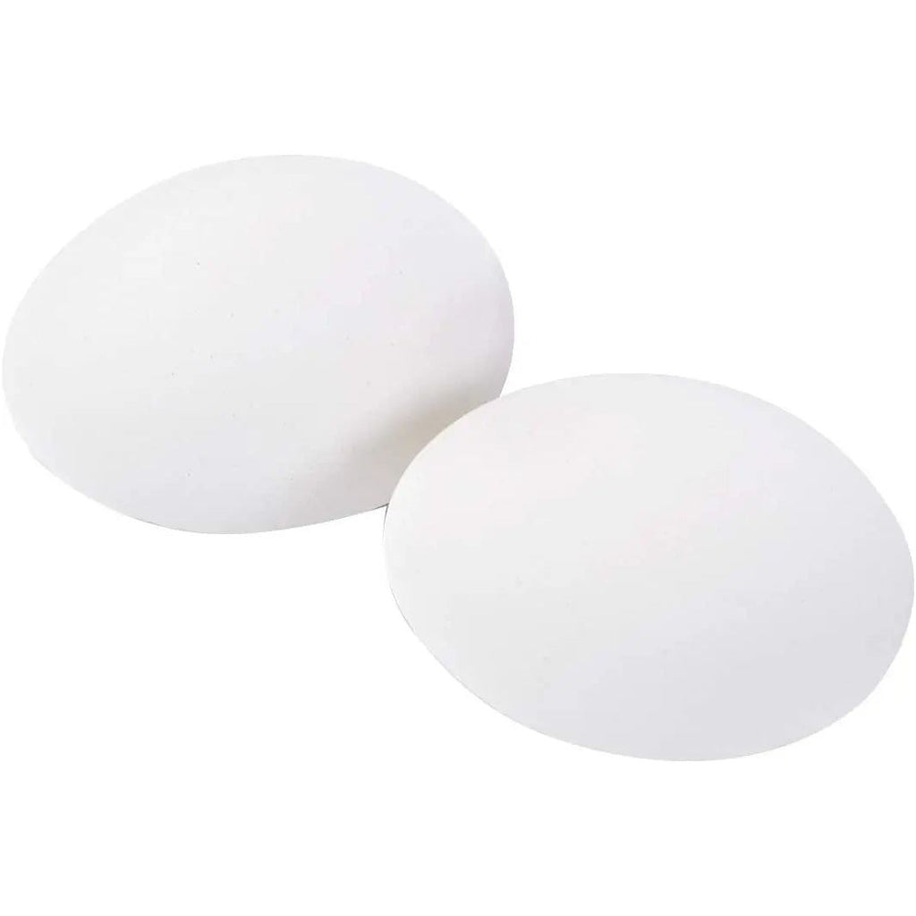Little Giant Ceramic Nest Eggs 2 Pack Fake Eggs for Chicken Coops, White