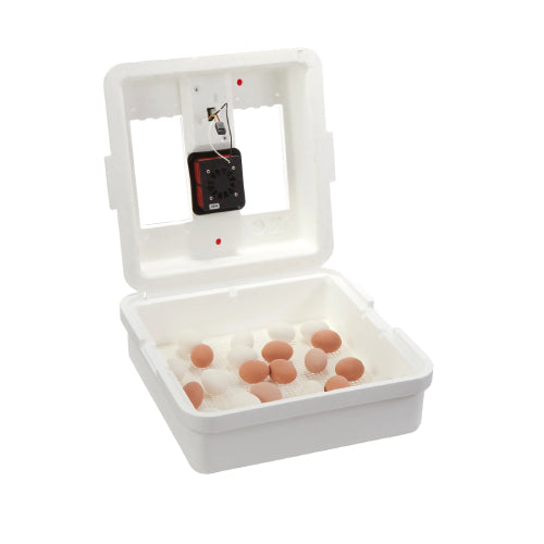 Little Giant Egg Incubator Digital 9500/9300 Still Air 41 Egg Poultry Hatcher with LCD Temp & Humidity Display