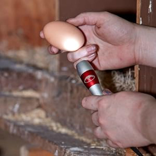 Farm Fresh Egg Hatching Starter Kit – Egg Wash, Candler & Digital Incubator