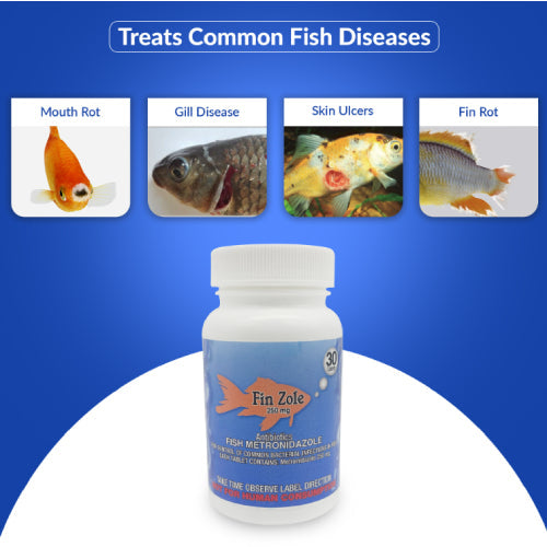 Fish Zole 250mg 30 Capsules for Fish – Bacterial & Parasite Treatment (Fin Rot & Internal Issues)