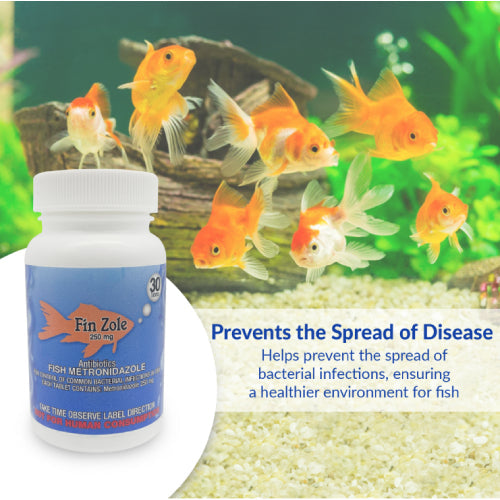 Fish Zole 250mg 30 Capsules for Fish – Bacterial & Parasite Treatment (Fin Rot & Internal Issues)