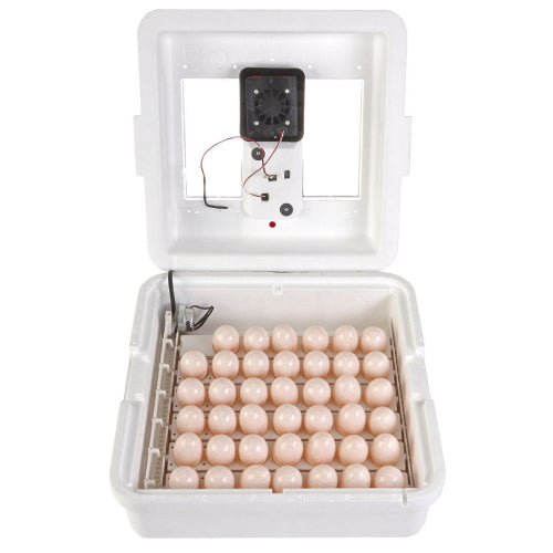 Farm Fresh Egg Hatching Starter Kit – Egg Wash, Candler & Digital Incubator