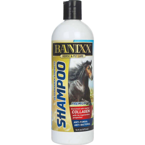 Banixx Medicated Shampoo & Wound Spray 16 oz Horse Dog Coat Pet Skin Care Combo