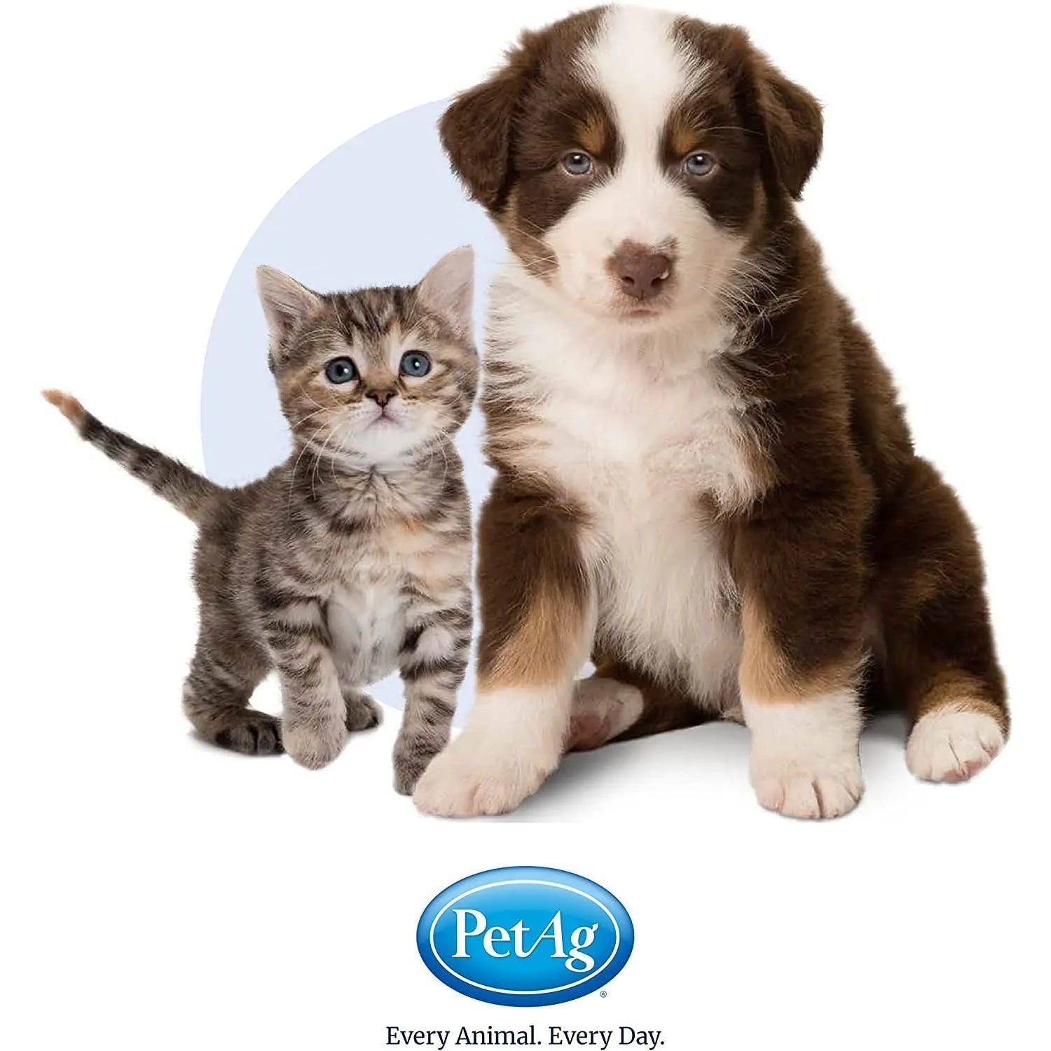 Pet-Ag Dyne High Nutritional Supplement for Livestock Gallon