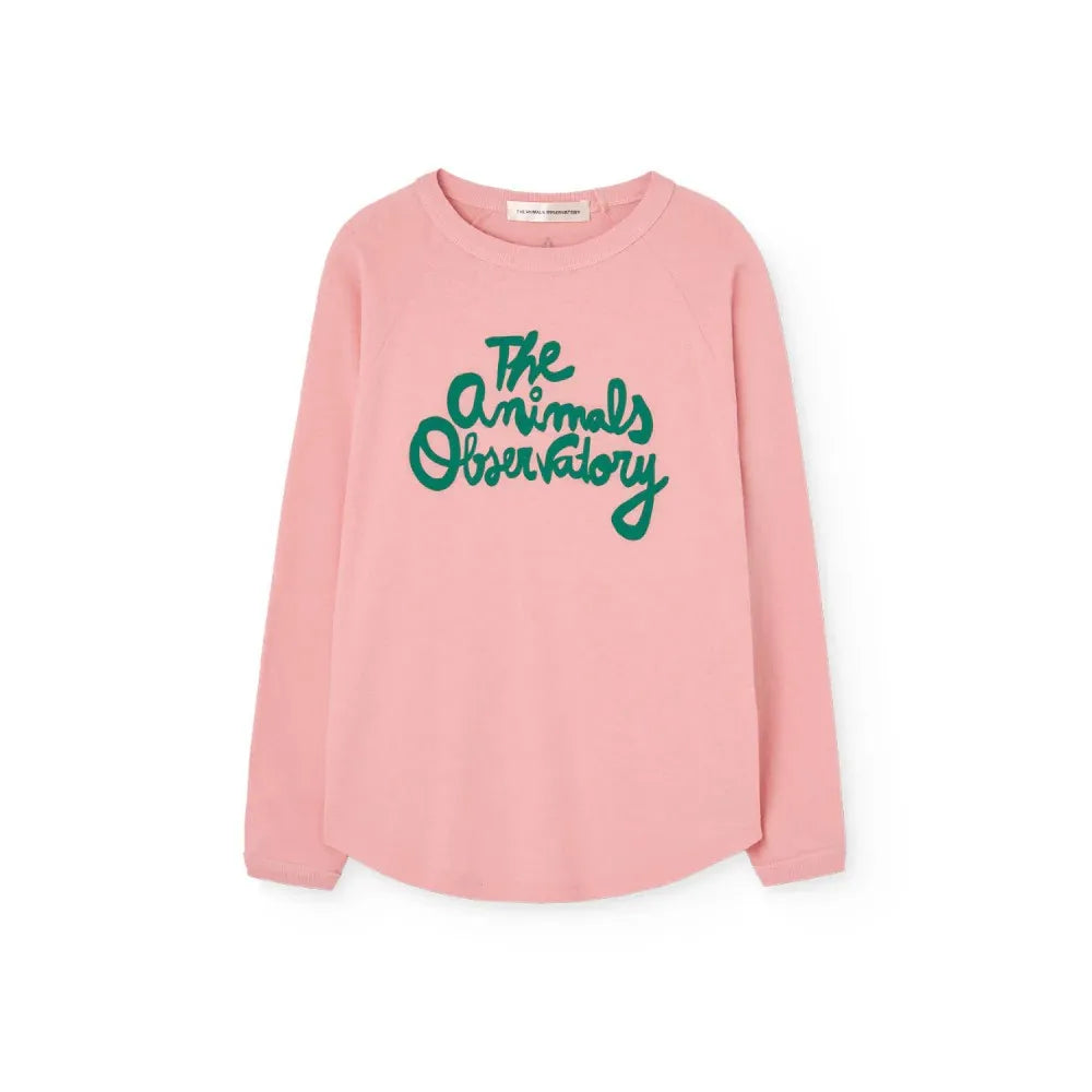 26 26 Boys Girls Round Neck Fleece Sweatshirt Girls Spring Children Boys Baby Tops Jackets Kids Clothing