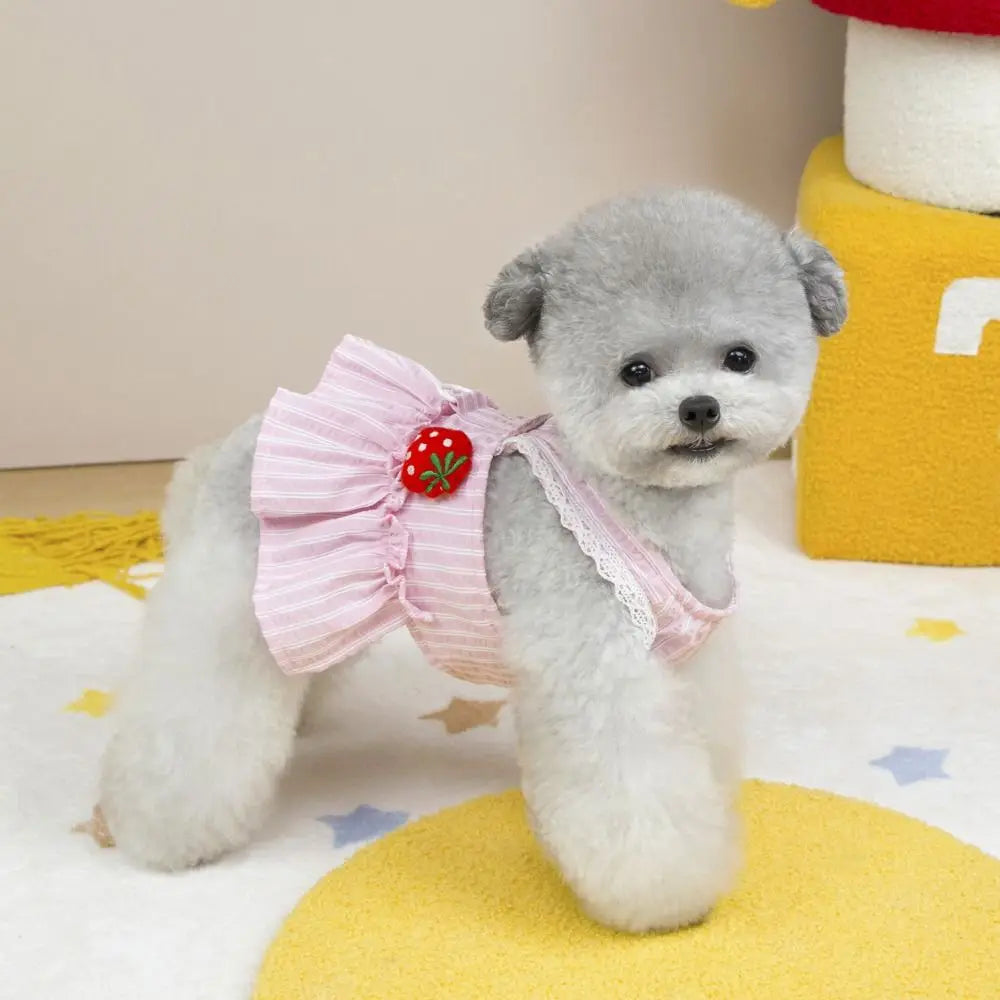 Pet Supplies Cute Dog Dress Breathable Thin Design Cat Princess Skirt Soft Pet Summer Clothes Kittens