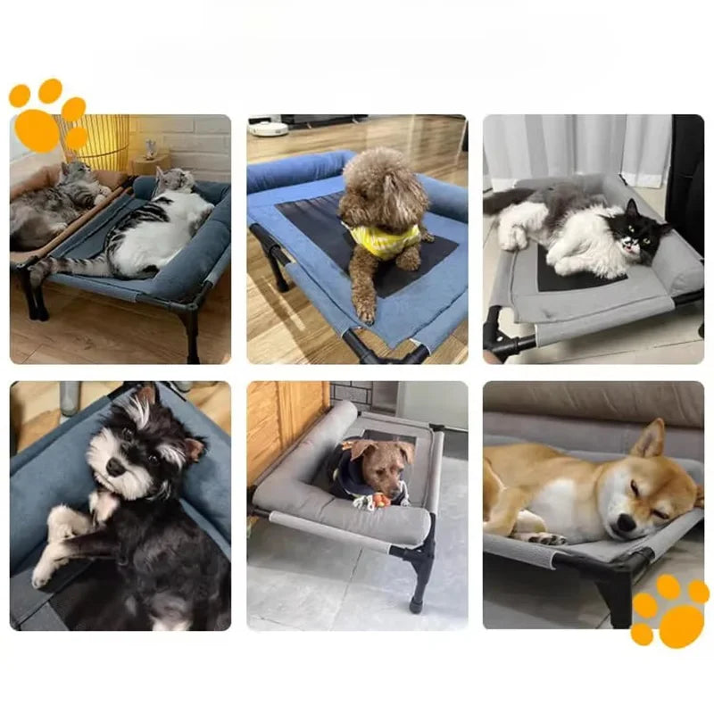 Elevated Cooling Mesh Dog Cot Breathable Moisture Resistant Bed With Pillow Four Seasons Use Indoor For Dog Cat Pet Supplies