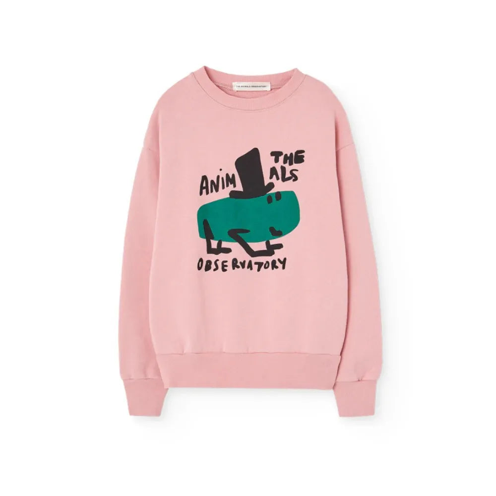 26 26 Boys Girls Round Neck Fleece Sweatshirt Girls Spring Children Boys Baby Tops Jackets Kids Clothing