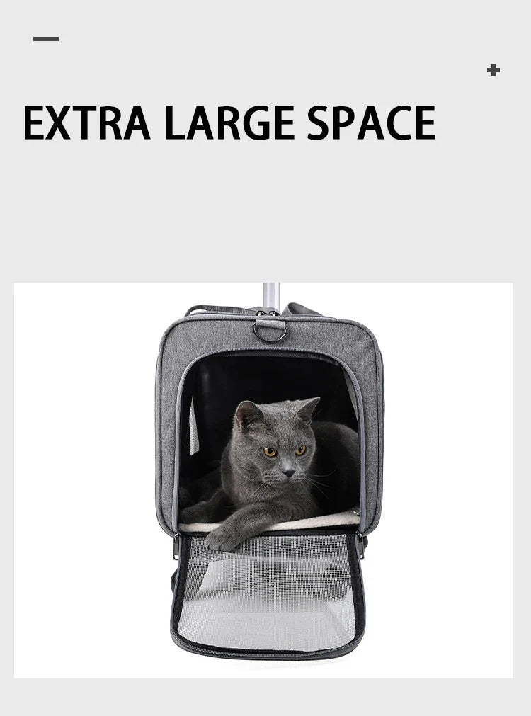 Pet Carrier with Wheels for Dogs Up To 15lbs & Cat  Airline Approved Dog Carrier Rolling Pet Carrier Foldable Pet Stroller