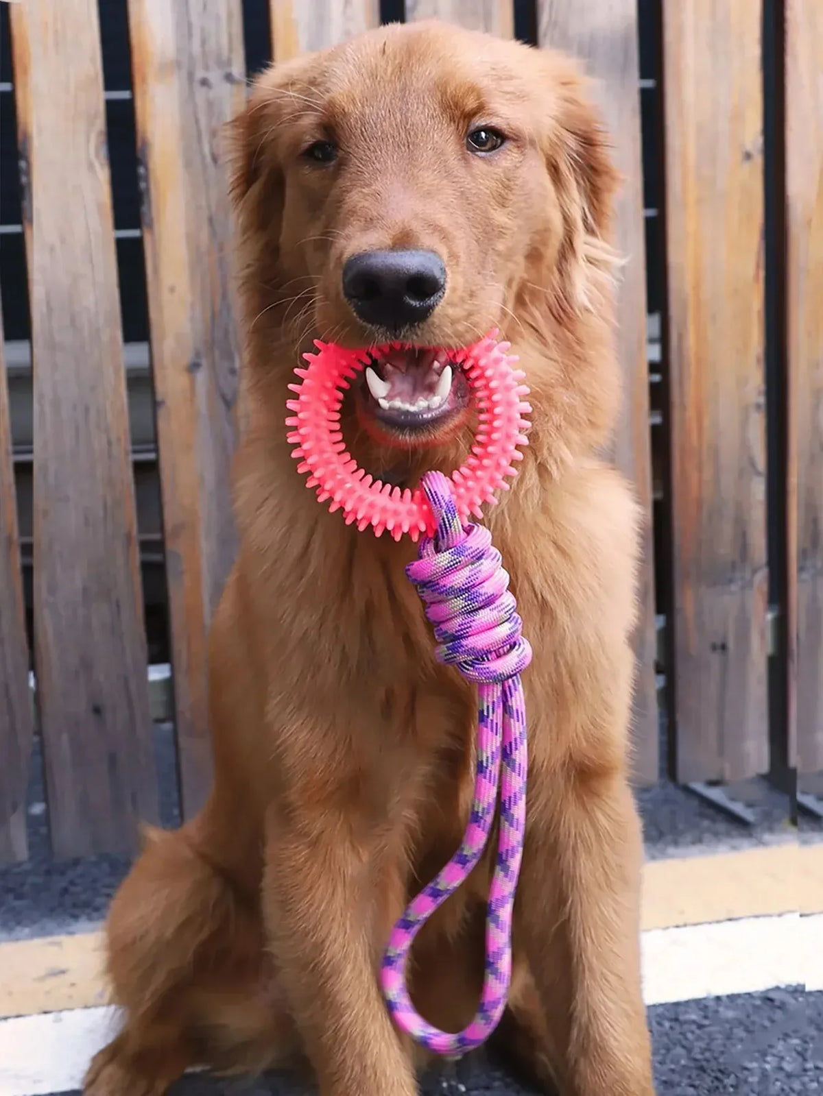 Dog Toys Chew Resistant Nylon Rope Toys Pet Colorful Woven Knot Rubber Toys Dog Self Fun Outdoor Swimming Toys Pet Supplies