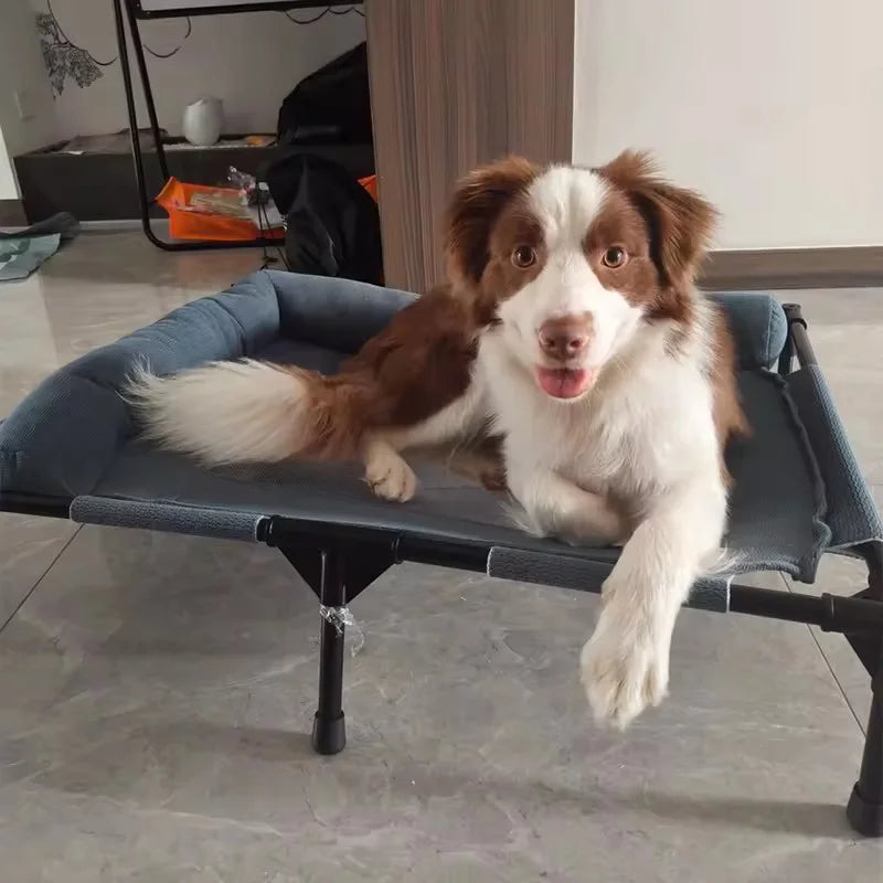 Elevated Cooling Mesh Dog Cot Breathable Moisture Resistant Bed With Pillow Four Seasons Use Indoor For Dog Cat Pet Supplies