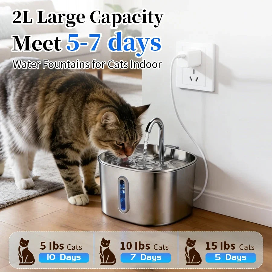 Large Capacity Cat Water Fountain Stainless Steel Automatic Pet Drinking Fountain for Indoor Cats Dogs Quiet Cat Water Dispener