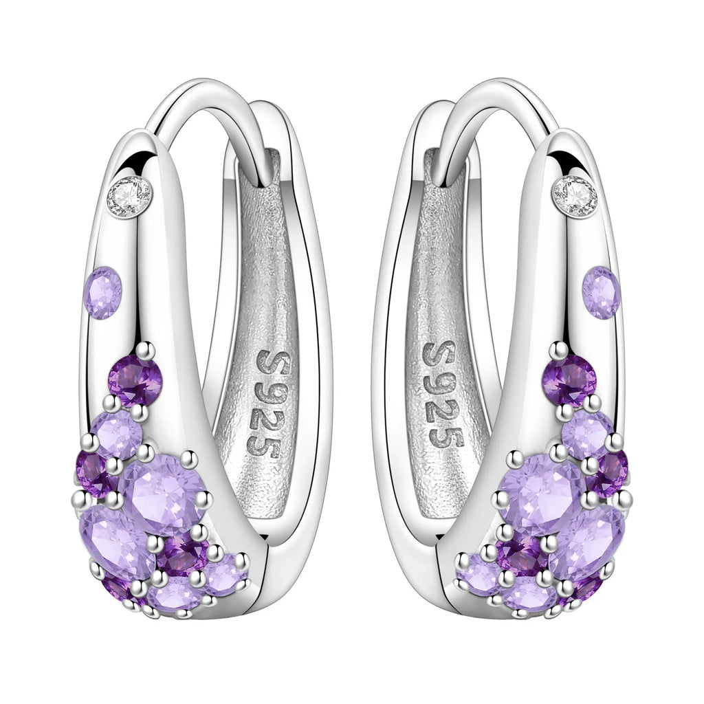 PANPOKI S925 Sterling Silver Purple Zircon Series Earrings Hoop Earrings For Women Jewelry Original Party Trendy Gifts
