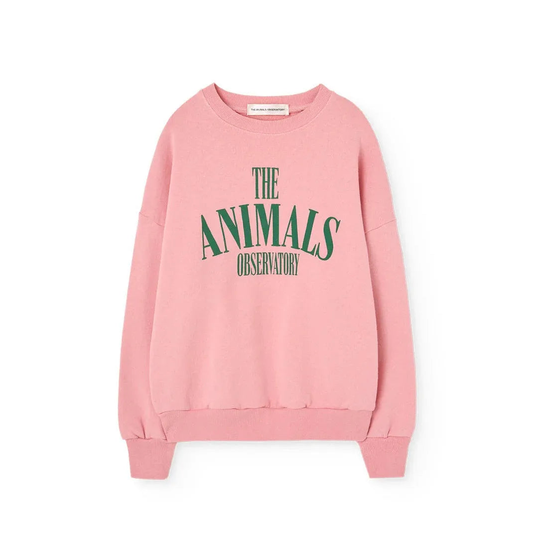 26 26 Boys Girls Round Neck Fleece Sweatshirt Girls Spring Children Boys Baby Tops Jackets Kids Clothing