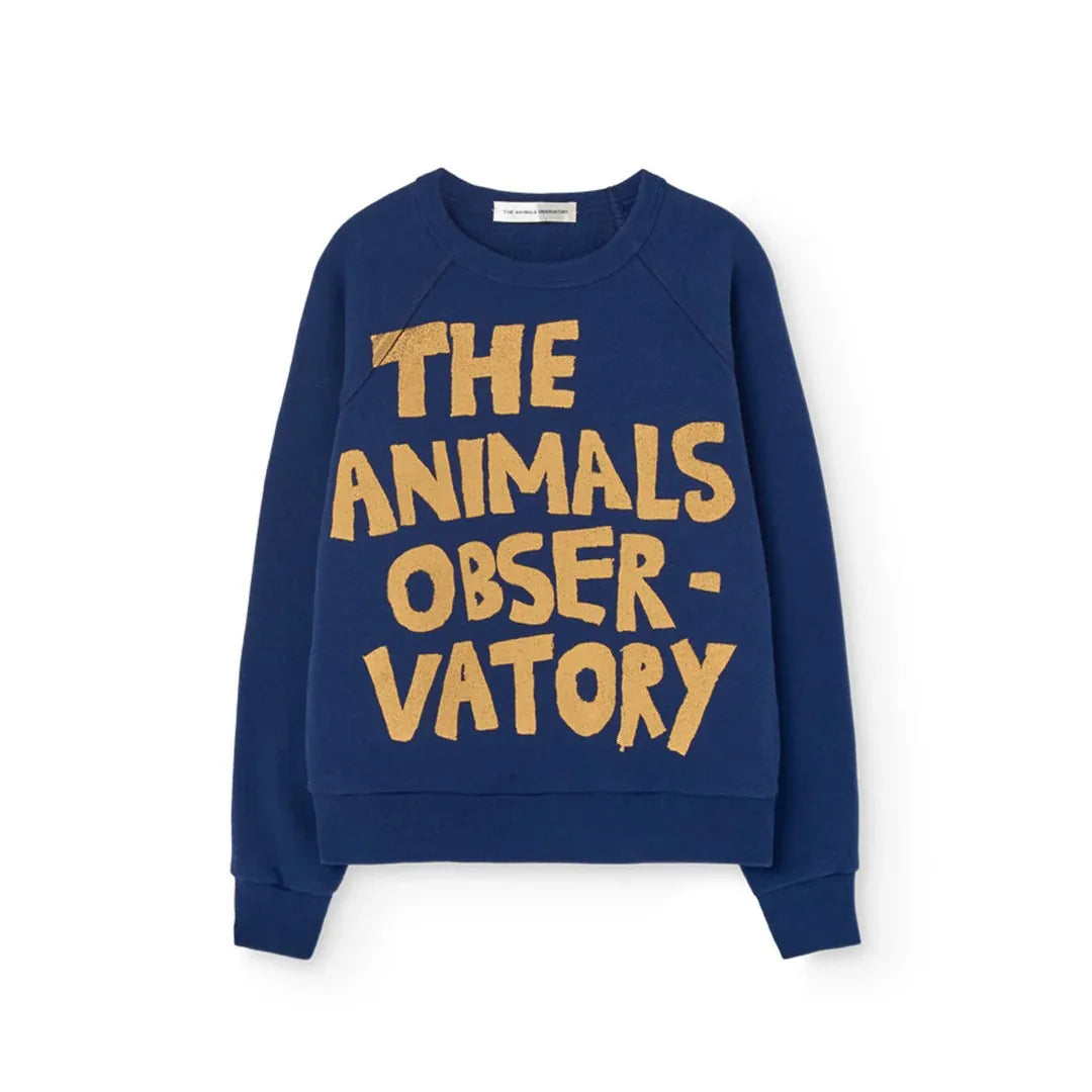 26 26 Boys Girls Round Neck Fleece Sweatshirt Girls Spring Children Boys Baby Tops Jackets Kids Clothing