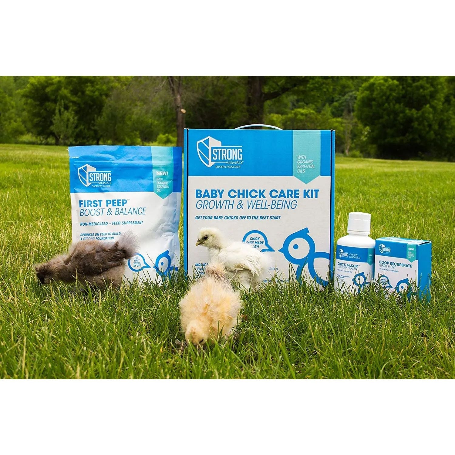 Complete Baby Chick Starter Kit – Everything You Need for Raising Healthy Chicks