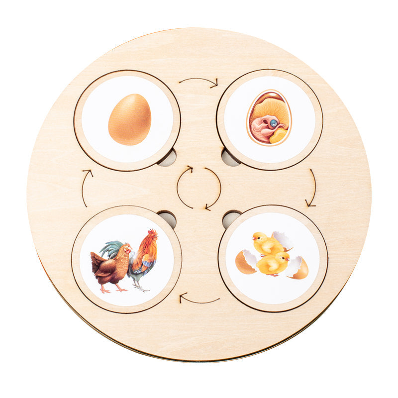 Children's Enlightenment Early Education Toys Montessori Teaching Aids