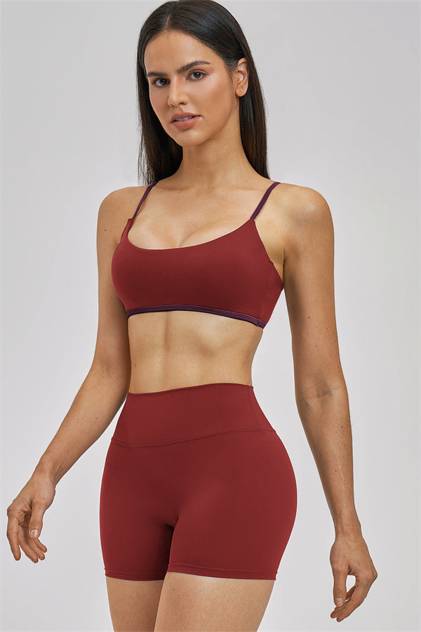 The Seraphine Sports Bra