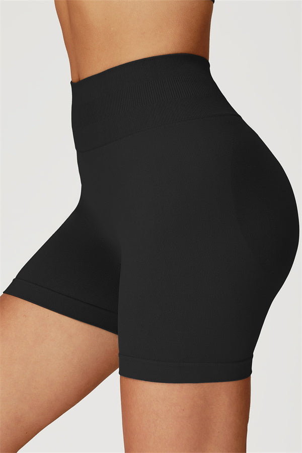 The Sculpt Crop Top Shorts 2-Piece Set