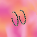Black and Gray Hoop Earrings