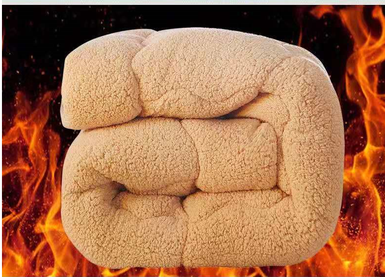 Lamb Velvet Quilt Keeps Warm For Two In Winter