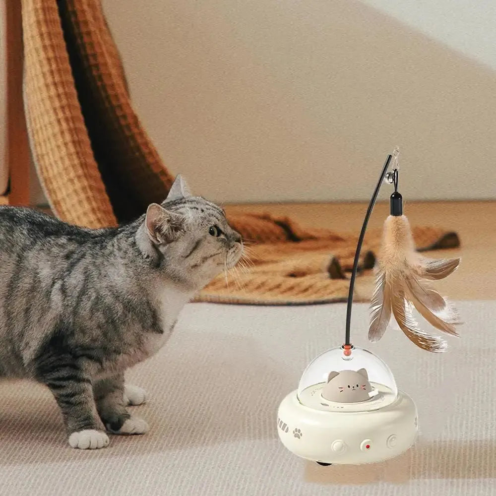 Robotic Cat Chase Toy