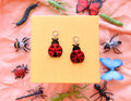 Lil' Lady Bug