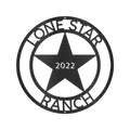 The Lone Star State Texans Personalized Gifts - Custom Metal Sign
